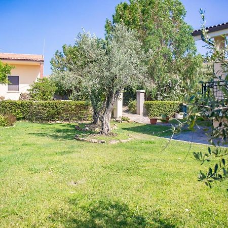 Il Giardino Degli Ulivi Bed & Breakfast Santa Maria Coghinas Exterior photo